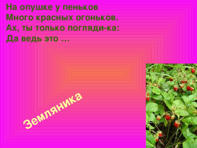 На опушке у пеньков  Много красных огоньков.  Ах, ты только погляди-ка:  Да ведь это …   Земляника