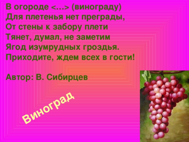 В огороде  (винограду)  Для плетенья нет преграды,  От стены к забору плети  Тянет, думал, не заметим  Ягод изумрудных гроздья.  Приходите, ждем всех в гости!   Автор: В. Сибирцев    Виноград