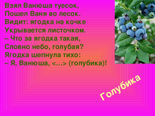 Взял Ванюша туесок,  Пошел Ваня во лесок.  Видит: ягодка на кочке  Укрывается листочком.  – Что за ягодка такая,  Словно небо, голубая?  Ягодка шепнула тихо:  – Я, Ванюша,  (голубика)!    Голубика