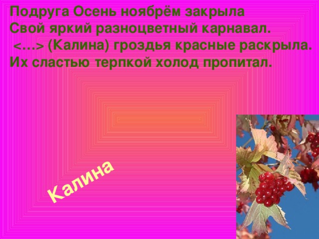 Подруга Осень ноябрём закрыла  Свой яркий разноцветный карнавал.    (Калина) гроздья красные раскрыла.  Их сластью терпкой холод пропитал.    Калина