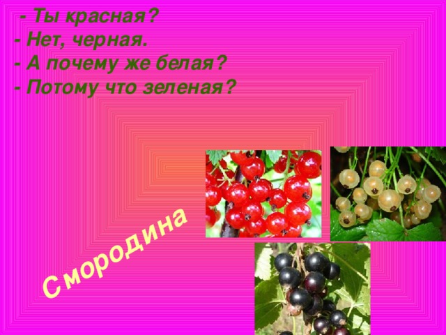 - Ты красная?  - Нет, черная.  - А почему же белая?  - Потому что зеленая?    Смородина