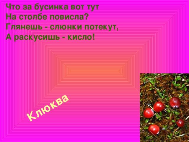 Что за бусинка вот тут  На столбе повисла?  Глянешь - слюнки потекут,  А раскусишь - кисло!       Клюква