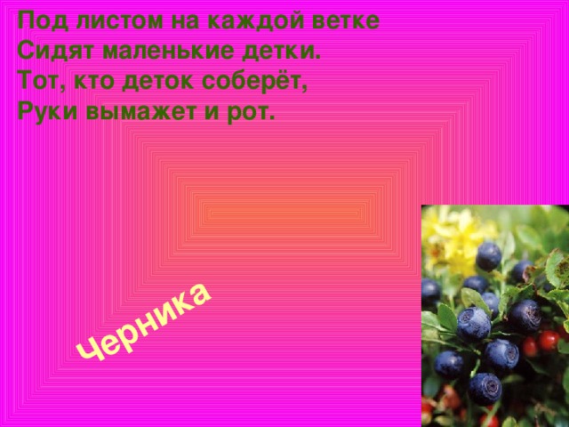 Под листом на каждой ветке  Сидят маленькие детки.  Тот, кто деток соберёт,  Руки вымажет и рот.   Черника