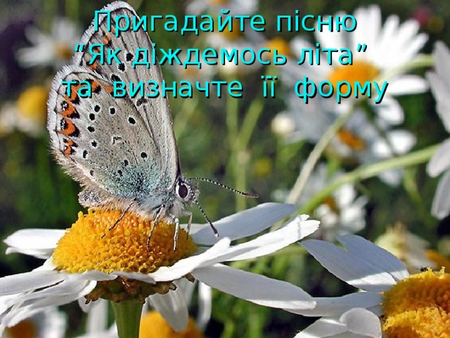 Пригадайте пісню  “Як діждемось літа”  та визначте її форму