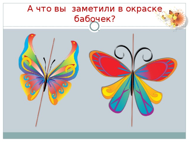 А что вы заметили в окраске бабочек?