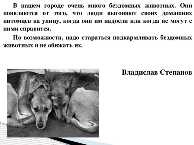 В нашем городе очень много бездомных животных. Они появляются от того, что люди выгоняют своих домашних питомцев на улицу, когда они им надоели или когда не могут с ними справится. По возможности, надо стараться подкармливать бездомных животных и не обижать их.   Владислав Степанов