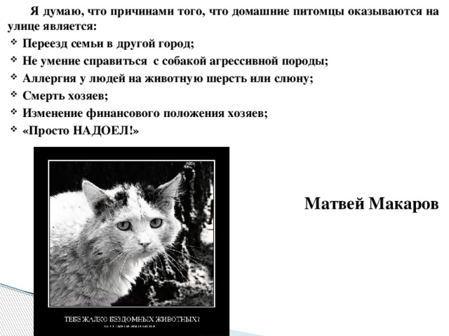 Я думаю, что причинами того, что домашние питомцы оказываются на улице является: Переезд семьи в другой город; Не умение справиться с собакой агрессивной породы; Аллергия у людей на животную шерсть или слюну; Смерть хозяев; Изменение финансового положения хозяев; «Просто НАДОЕЛ!»    Матвей Макаров