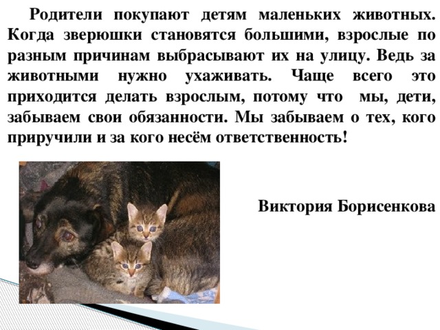 Родители покупают детям маленьких животных. Когда зверюшки становятся большими, взрослые по разным причинам выбрасывают их на улицу. Ведь за животными нужно ухаживать. Чаще всего это приходится делать взрослым, потому что мы, дети, забываем свои обязанности. Мы забываем о тех, кого приручили и за кого несём ответственность!   Виктория Борисенкова