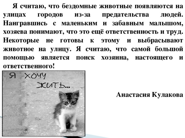 Я считаю, что бездомные животные появляются на улицах городов из-за предательства людей. Наигравшись с маленьким и забавным малышом, хозяева понимают, что это ещё ответственность и труд. Некоторые не готовы к этому и выбрасывают животное на улицу. Я считаю, что самой большой помощью является поиск хозяина, настоящего и ответственного!   Анастасия Кулакова