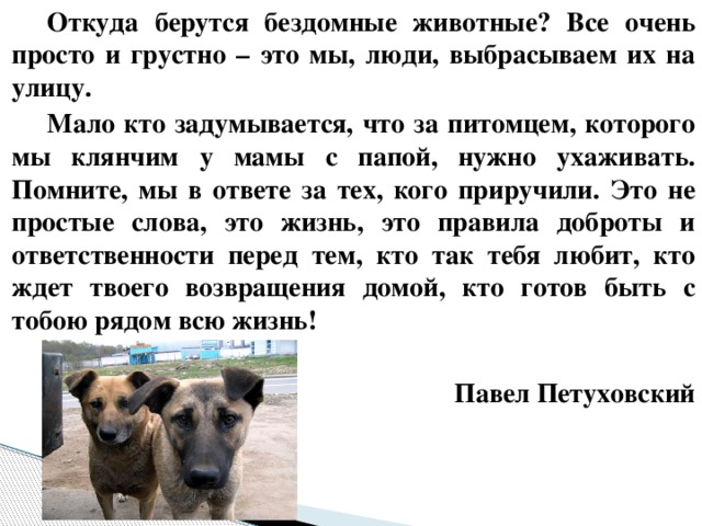 Откуда берутся бездомные животные? Все очень просто и грустно – это мы, люди, выбрасываем их на улицу. Мало кто задумывается, что за питомцем, которого мы клянчим у мамы с папой, нужно ухаживать. Помните, мы в ответе за тех, кого приручили. Это не простые слова, это жизнь, это правила доброты и ответственности перед тем, кто так тебя любит, кто ждет твоего возвращения домой, кто готов быть с тобою рядом всю жизнь!  Павел Петуховский