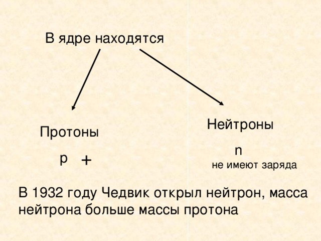 В ядре находятся Нейтроны  n Протоны  p  + не имеют заряда В 1932 году Чедвик открыл нейтрон, масса нейтрона больше массы протона