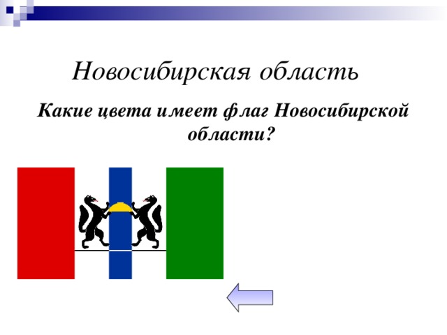 Новосибирская область Какие цвета имеет флаг Новосибирской области?