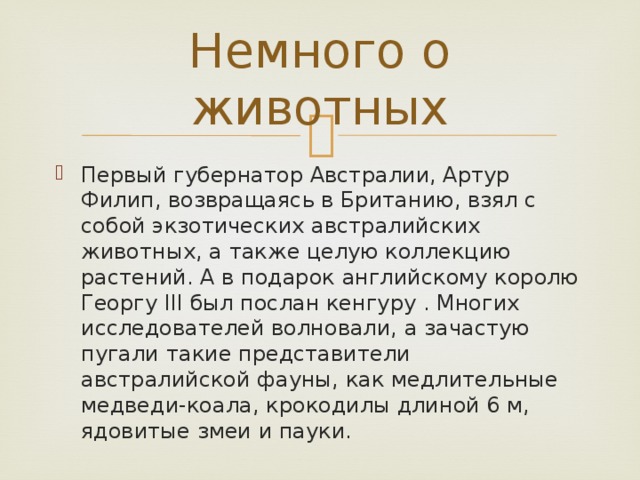 Немного о животных