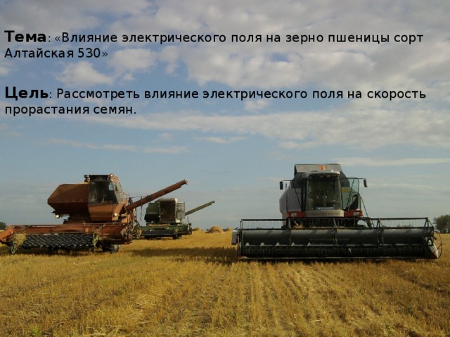 Тема : « Влияние электрического поля на зерно пшеницы сорт Алтайская 530 » Цель : Рассмотреть влияние электрического поля на скорость прорастания семян.