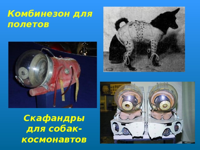 Комбинезон для полетов Скафандры для собак-космонавтов