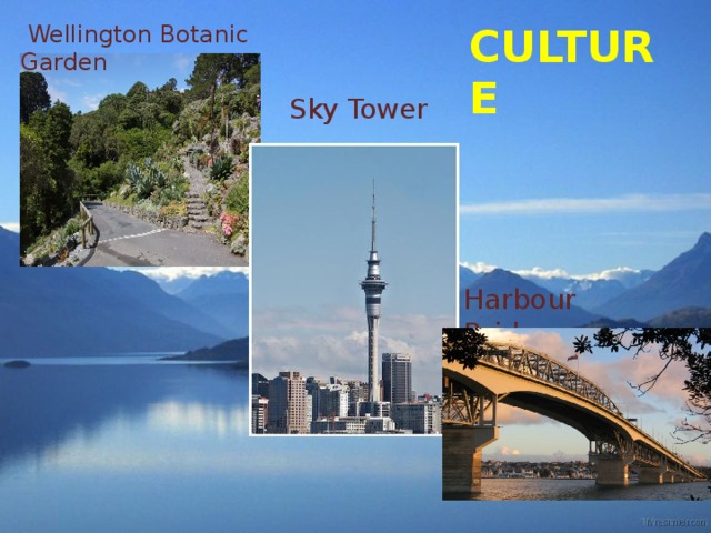 CULTURE   Wellington Botanic Garden Sky Tower Harbour Bridge  