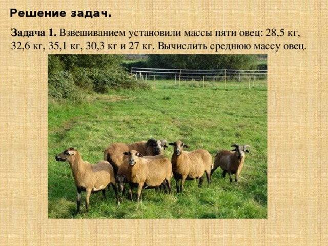 Решение задач. Задача 1. Взвешиванием установили массы пяти овец: 28,5 кг, 32,6 кг, 35,1 кг, 30,3 кг и 27 кг. Вычислить среднюю массу овец.