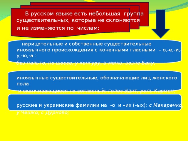 В русском языке есть небольшая группа существительных, которые не склоняются и не изменяются по числам:  нарицательные и собственные существительные иноязычного происхождения с конечными гласными – о,-е,-и,-у,-ю,-а : без пальто, по шоссе, у кенгуру, в меню, возле Баку; иноязычные существительные, обозначающие лиц женского пола  и оканчивающиеся на согласный: голос Эдит, роль Кармен ; русские и украинские фамилии на -о и –их (-ых): с Макаренко, у Чешко, с Дурново;