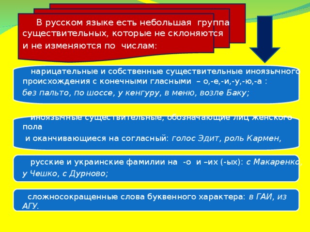 В русском языке есть небольшая группа существительных, которые не склоняются и не изменяются по числам:  нарицательные и собственные существительные иноязычного происхождения с конечными гласными – о,-е,-и,-у,-ю,-а : без пальто, по шоссе, у кенгуру, в меню, возле Баку;  иноязычные существительные, обозначающие лиц женского пола  и оканчивающиеся на согласный: голос Эдит, роль Кармен,  русские и украинские фамилии на -о и –их (-ых): с Макаренко, у Чешко, с Дурново;   сложносокращенные слова буквенного характера: в ГАИ, из АГУ.