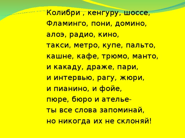 Шоссе род. Колибри кенгуру шоссе Фламинго пони. Кенгуру род существительного. Кенгуру какого рода существительное. Кенгуру род слова.