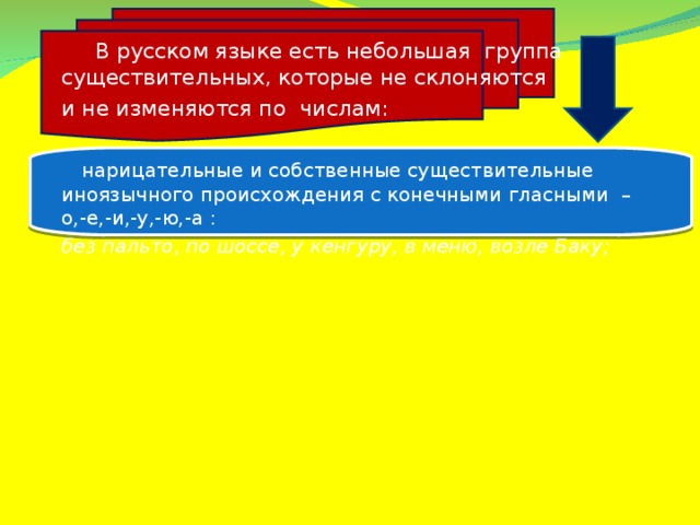 В русском языке есть небольшая группа существительных, которые не склоняются и не изменяются по числам:  нарицательные и собственные существительные иноязычного происхождения с конечными гласными – о,-е,-и,-у,-ю,-а : без пальто, по шоссе, у кенгуру, в меню, возле Баку;