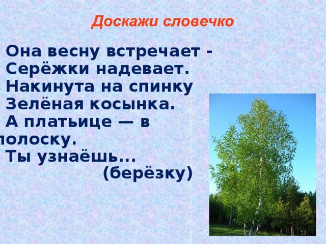 Она весну встречает -  Серёжки надевает.  Накинута на спинку  Зелёная косынка.  А платьице — в полоску.  Ты узнаёшь...  (берёзку)