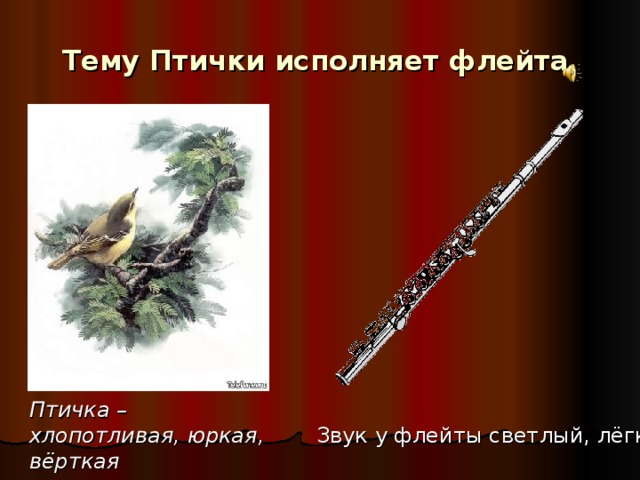 Тему Птички исполняет флейта  Птичка – хлопотливая, юркая, вёрткая  Звук у флейты светлый, лёгкий, высокий
