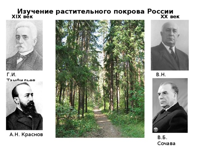 Изучение растительного покрова России XIX век XX век Г.И. Танфильев В.Н. Сукачев А.Н. Краснов В.Б. Сочава