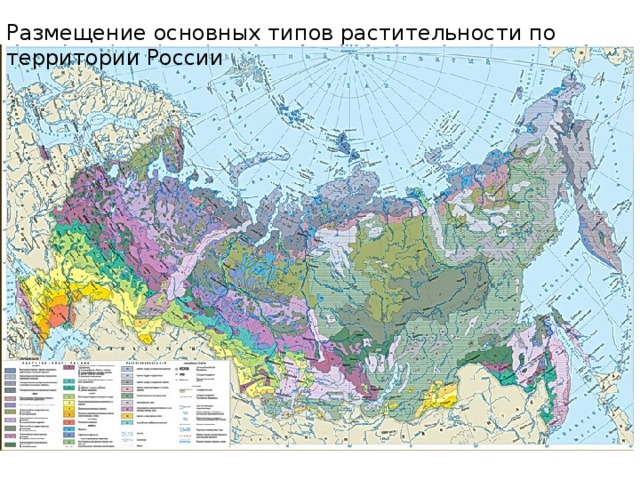 Размещение основных типов растительности по территории России