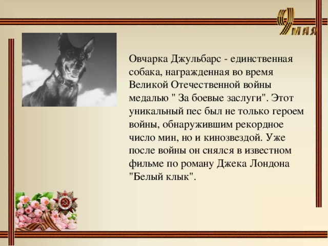 Овчарка Джульбарс - единственная собака, награжденная во время Великой Отечественной войны медалью 