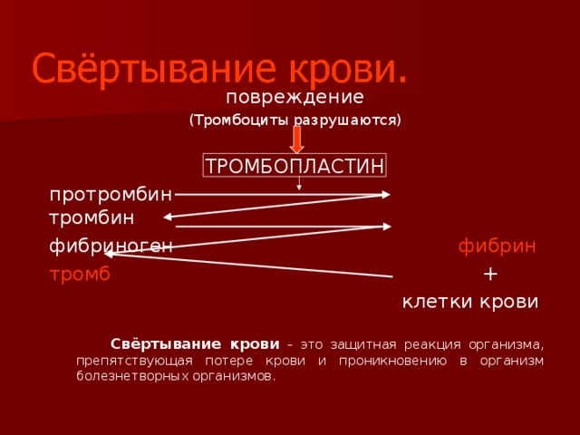 повреждение (Тромбоциты разрушаются) ТРОМБОПЛАСТИН протромбин тромбин фибриноген фибрин тромб +  клетки крови  Свёртывание крови – это защитная реакция организма, препятствующая потере крови и проникновению в организм болезнетворных организмов.