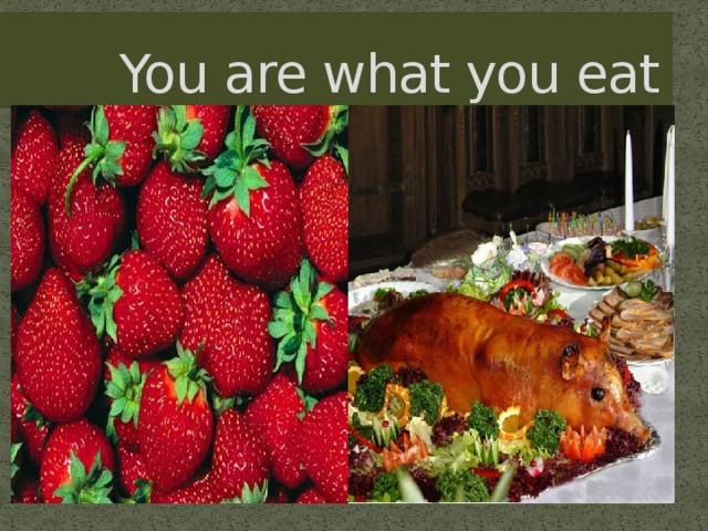 You are what you eat