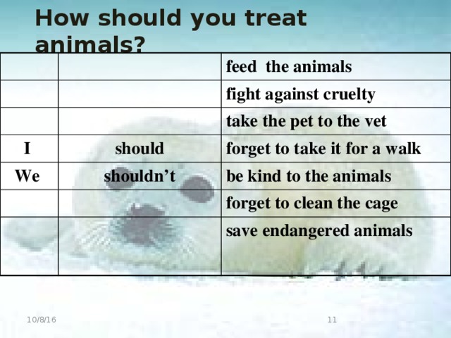 How should you treat animals?  feed the animals fight against cruelty I take the pet to the vet should We forget to take it for a walk shouldn’t be kind to the animals forget to clean the cage save endangered animals  10/8/16