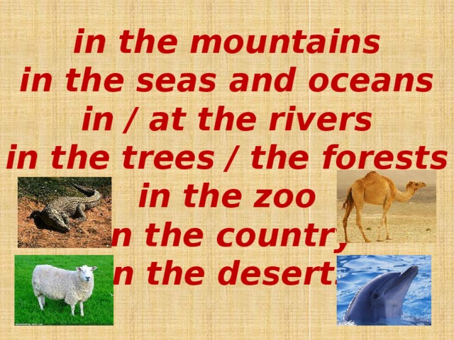 in the mountains  in the seas and oceans  in / at the rivers  in the trees / the forests  in the zoo  in the country  in the deserts