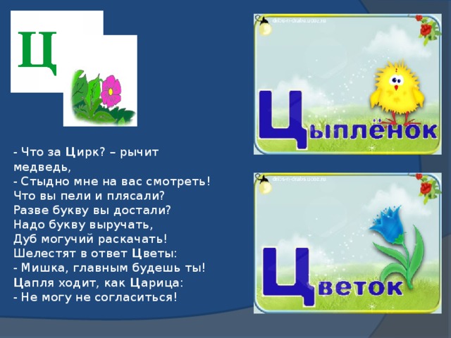 - Что за Ц ирк? – рычит медведь,  - Стыдно мне на вас смотреть!  Что вы пели и плясали?  Разве букву вы достали?  Надо букву выручать,  Дуб могучий раскачать!  Шелестят в ответ Ц веты:  - Мишка, главным будешь ты!  Ц апля ходит, как Ц арица:  - Не могу не согласиться!