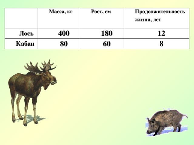 Масса, кг Лось Рост, см 400 Кабан Продолжительность жизни, лет 180 80 12 60 8