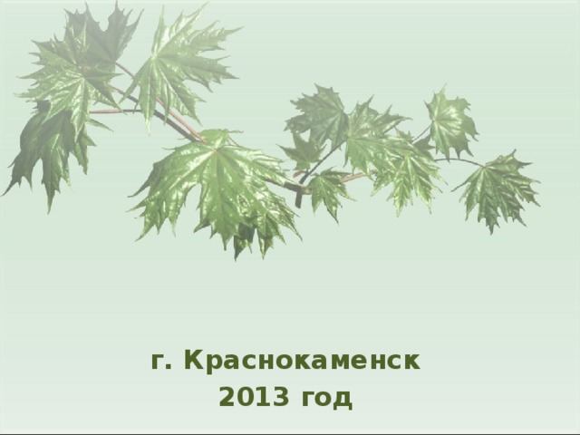 г. Краснокаменск 2013 год