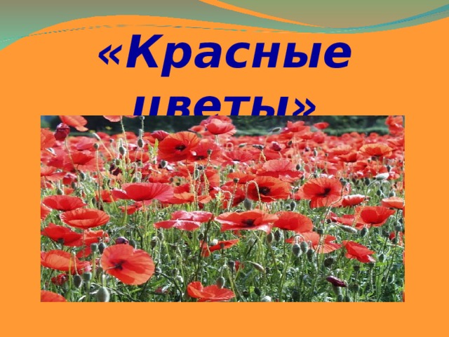 «Красные цветы»