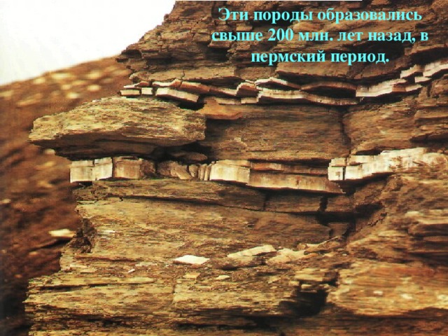 Эти породы образовались свыше 200 млн. лет назад, в пермский период.