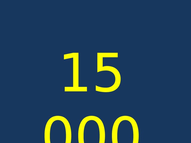 15 000