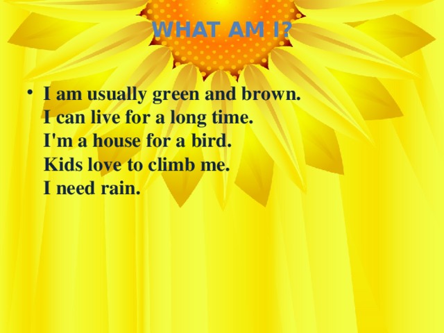 What Am I?   I am usually green and brown.  I can live for a long time.  I'm a house for a bird.  Kids love to climb me.  I need rain.