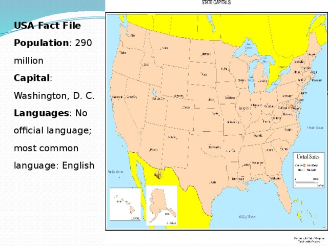 USA Fact File Population : 290 million Capital : Washington, D. C. Languages : No official language; most common language: English