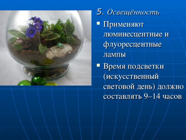 5.  Освещённость