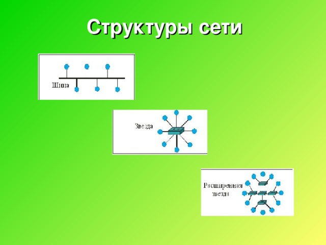 Структуры сети