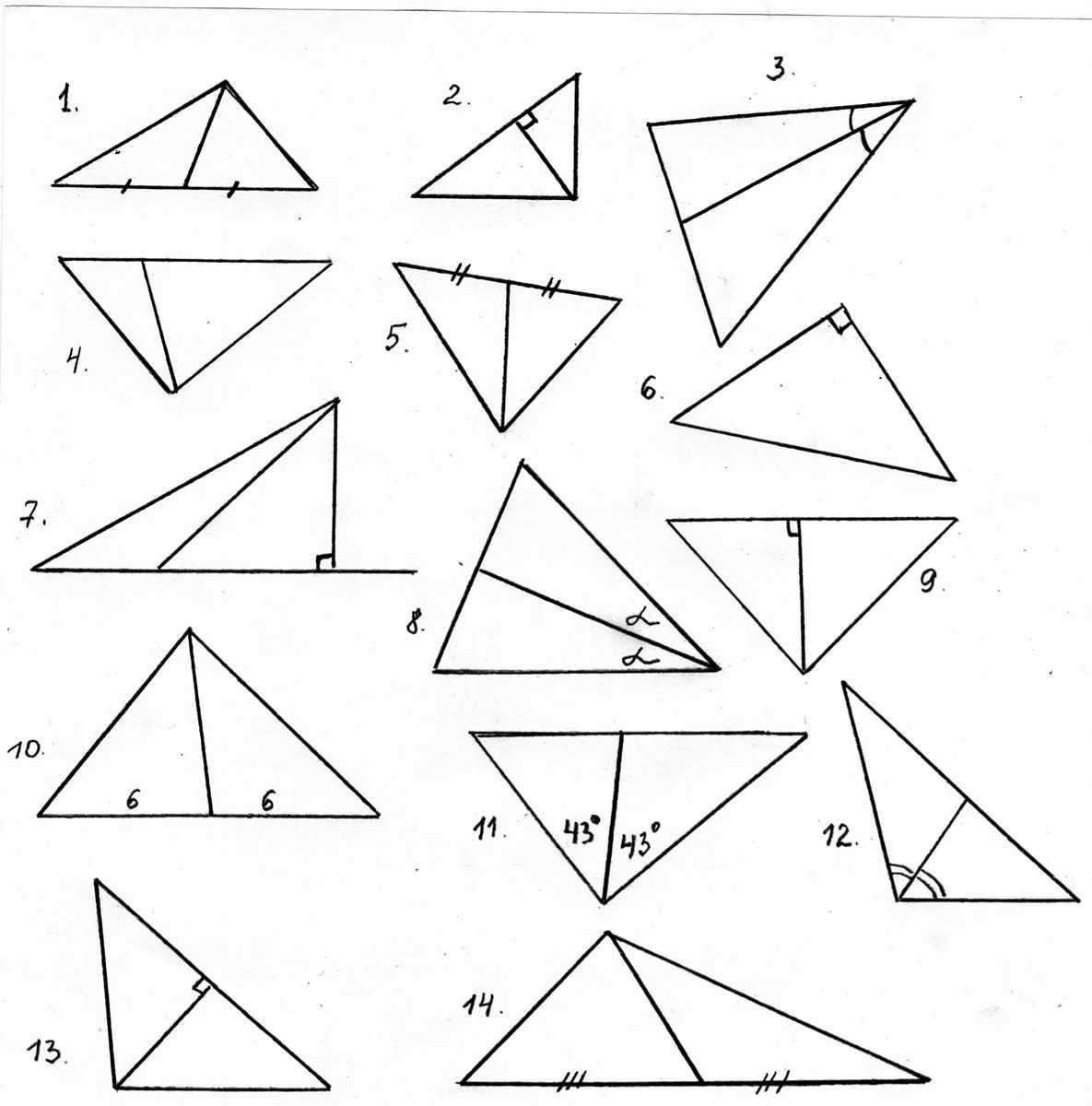 Найдите высоты треугольников задачи 1. Задачи по готовым чертежам Медианы биссектрисы и высоты треугольника. Задачи на Медианы биссектрисы и высоты треугольника 7 класс. Задания на биссектрису медиану и высоту. Чертёж Медианы биссектрисы и высоты треугольника.