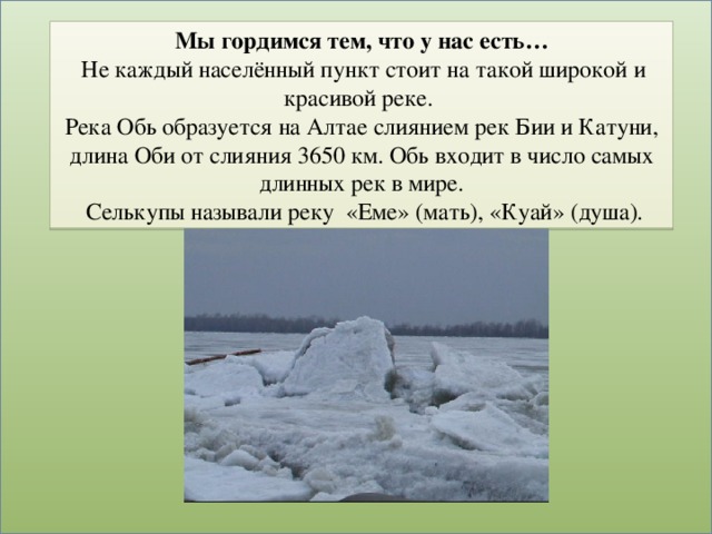 Мы гордимся тем, что у нас есть…   Не каждый населённый пункт стоит на такой широкой и красивой реке.  Река Обь образуется на Алтае слиянием рек Бии и Катуни, длина Оби от слияния 3650 км. Обь входит в число самых длинных рек в мире.  Селькупы называли реку «Еме» (мать), «Куай» (душа).