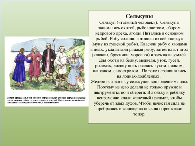 Селькупы  Селькуп («таёжный человек»). Селькупы занимались охотой, рыболовством, сбором кедрового ореха, ягоды. Питались в основном рыбой. Рыбу солили, готовили из неё «порсу» (муку из сушёной рыбы). Квасили рыбу с ягодами в ямах: укладывали рядами рыбу, затем пласт ягод (клюквы, брусники, морошки) и засыпали землёй. Для охоты на белку, медведя, уток, гусей, росомах, лисицу пользовались луком, силком, капканом, самострелом. По реке передвигались на лодках-долблёнках.  Железо считалось у селькупов воплощением силы. Поэтому из него делали не только оружие и инструменты, но и обереги. В люльку к ребёнку непременно клали железный предмет, чтобы уберечь от злых духов. Чтобы нечистая сила не пробралась в жилище на ночь на порог клали топор.