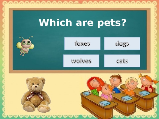Which are pets?