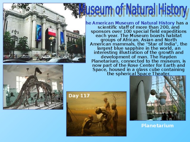 The American Museum of Natural History  has a scientific staff of more than 200, and sponsors over 100 special field expeditions each year. The Museum boasts habitat groups of African, Asian and North American mammals, the 