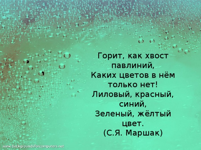 Горит, как хвост павлиний,  Каких цветов в нём только нет!  Лиловый, красный, синий,  Зеленый, жёлтый цвет.  (С.Я. Маршак)